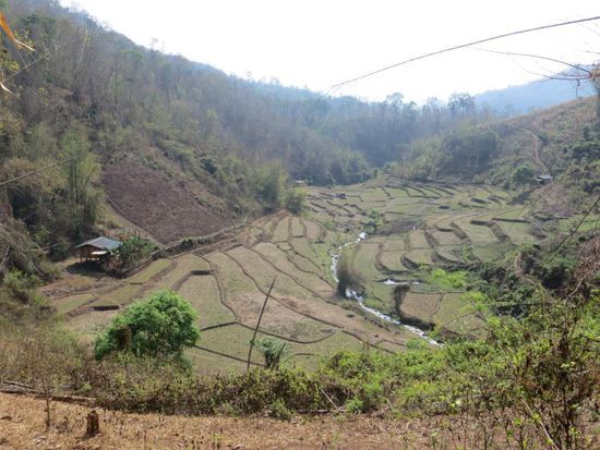 Unterwegs im Dschungel um Mae Hong Son