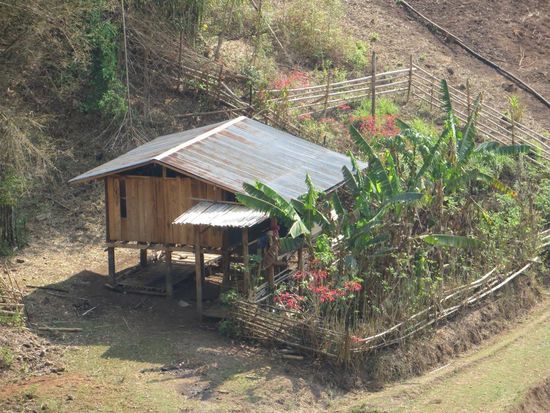Unterwegs im Dschungel um Mae Hong Son