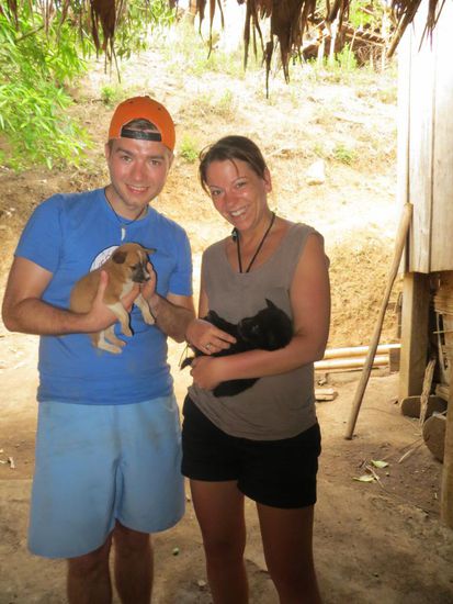 Zucker süße Hundewelpen 