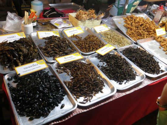 Mal ein etwas anderes Abendessen 