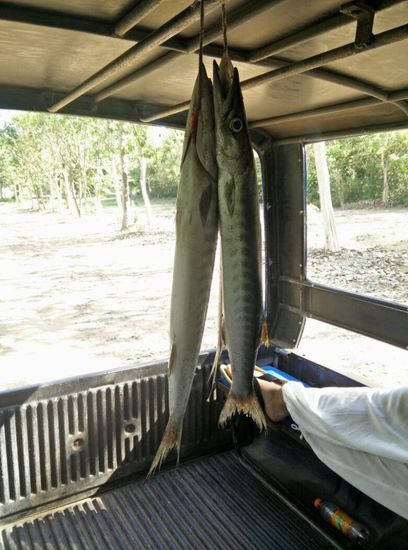 Mitbringsel der erfolgreichen Angler