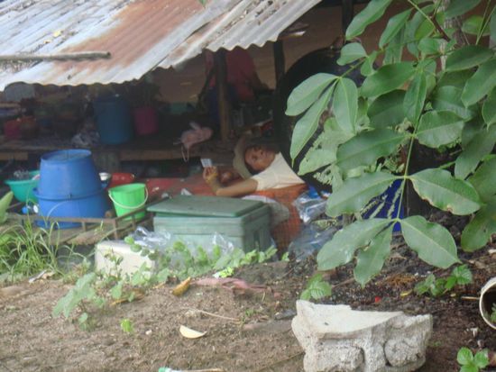 Asiaten können einfach immer und überall schlafen 