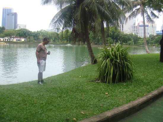 Highlight für Jan - die ersten Warane