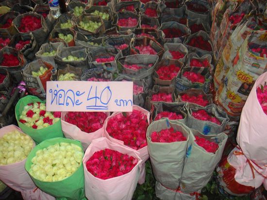 Ein ganzer Strauß Rosen für weniger als 1 Euro...