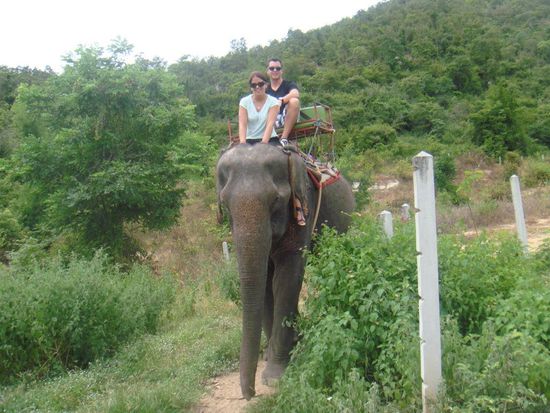 Aus dem Weg - wir kommen!