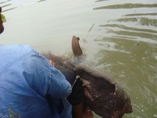 Dann tauchten wir ab