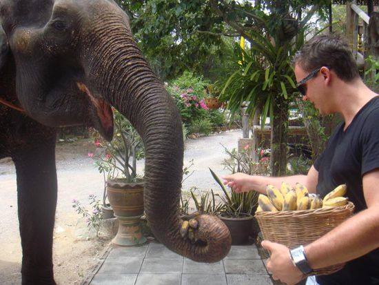 Zum Abschluss wurde Dumbo noch gefüttert