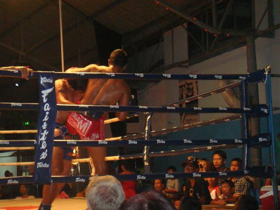 Autsch - der hat gesessen... 