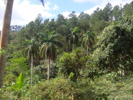 Erholungsgebiet Topes de Collantes