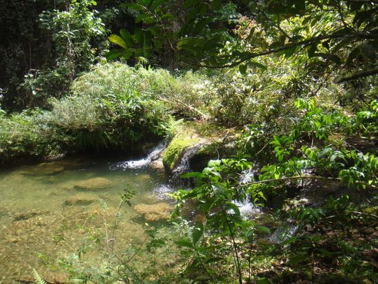 Weiter geht die Wanderung
