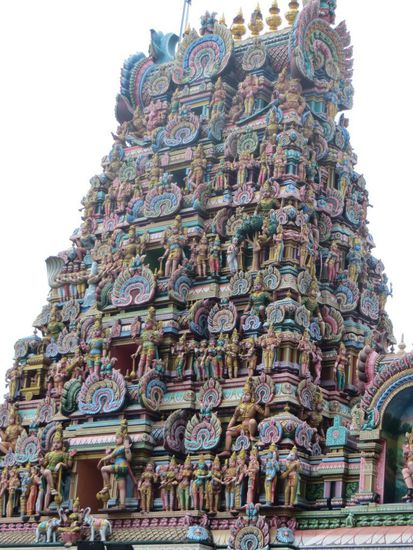 wunderschöne Details