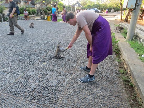 Jan beim Affen füttern