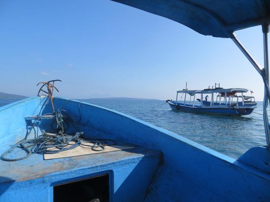 Auf nach Pulau Menjangan