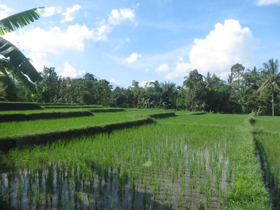 Impressionen von Java