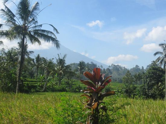 Impressionen von Java