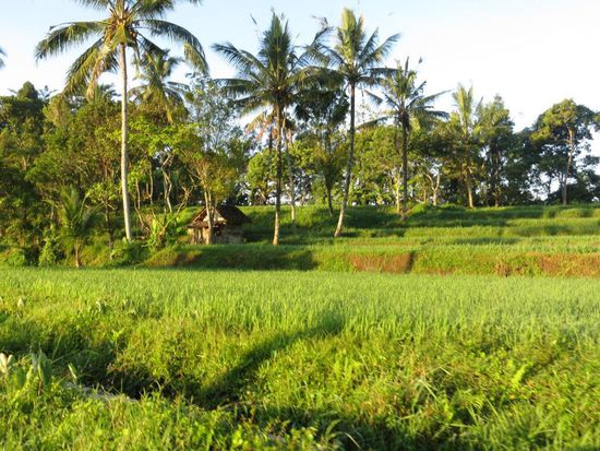 Impressionen von Java