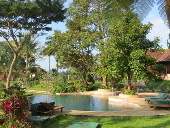 Schöner Pool im Grünen