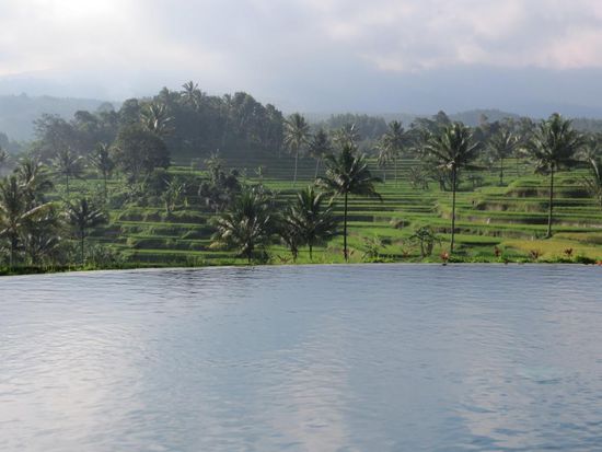 Toller Überlaufpool vor den Reisterrassen