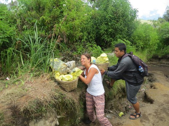 Bei mir hat sich der Korb nicht mal bewegt!