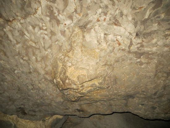 Versteinerte Schildkröte in der Batu Cermin