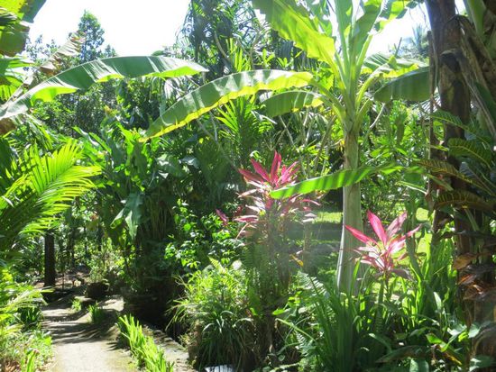 Kleine Wanderung durch tolle Natur
