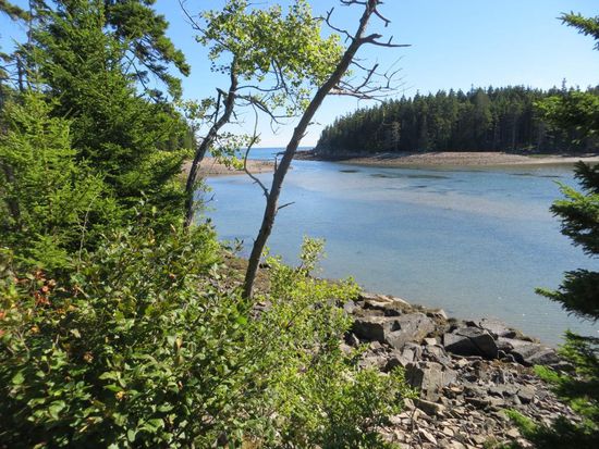 Tolle Natur im Acadia Nationalpark