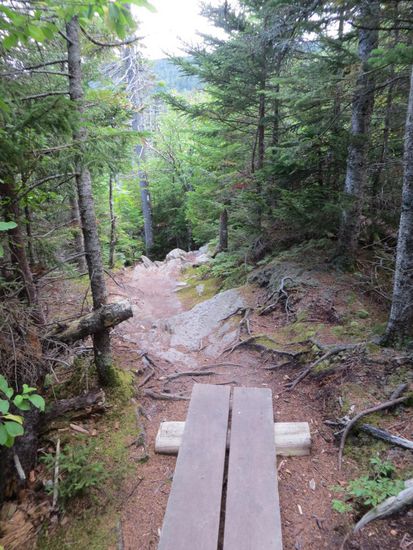 Wanderweg am Fuße des Mount Washington