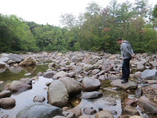 Wandern im White Mountain National Forest