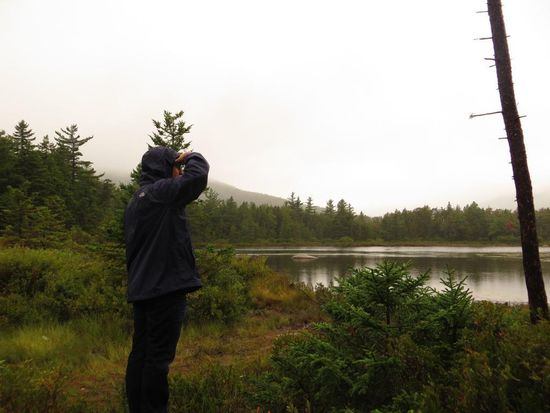 Jan auf der Suche nach Moose