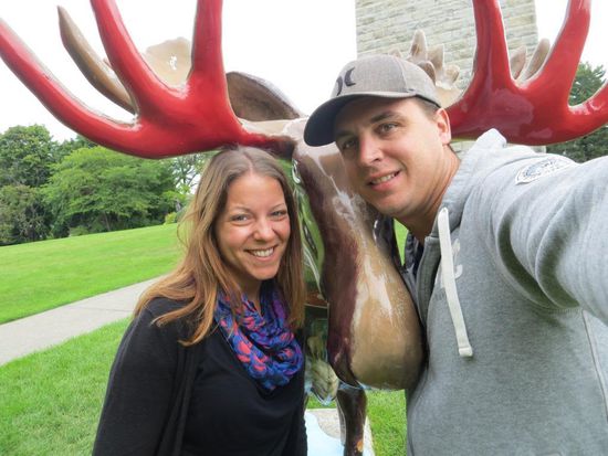 Doch noch ein Moose entdeckt 