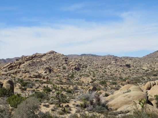 Joshua Tree Nationalpark