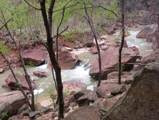 Der Virgin River auf der Wanderung "Gateway to Narrows"