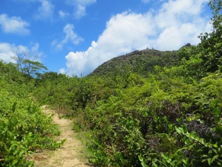 Wanderung auf dem Salazie-Track