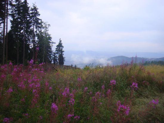 Campingplatz Vitkova Hora