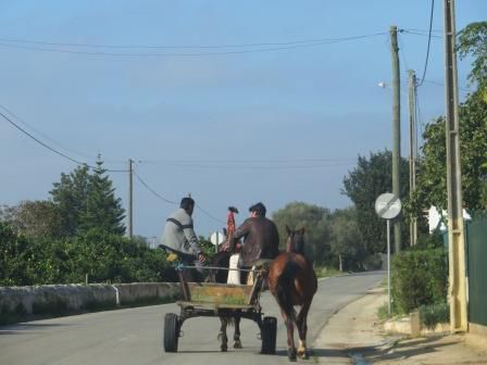 Impressionen von Portugals Inland
