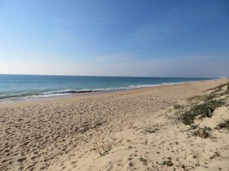 Strand im Ria Formosa Nationalpark