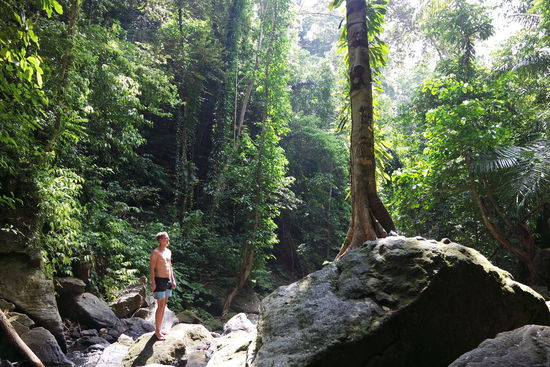 Dschungelfeeling am Wasserfall