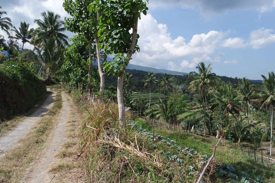 Wir werden mit mächtigen Ausblicken belohnt
