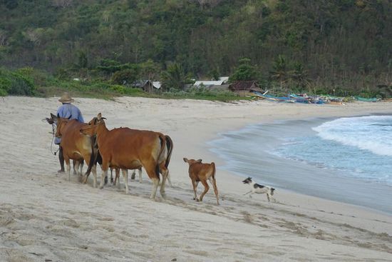 Mawun-Beach - Coole Wellen die einen umhauen