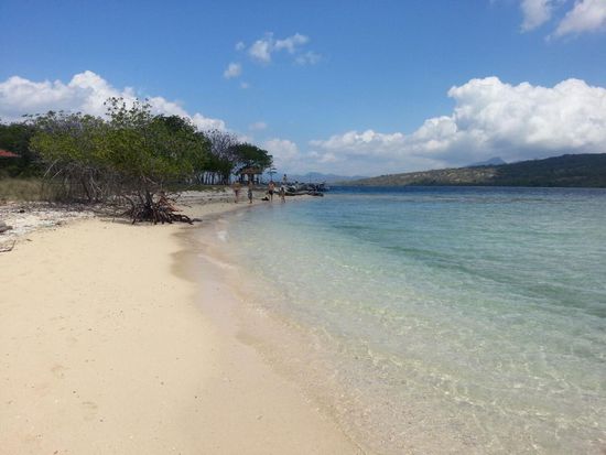 Am Strand trifft man oft auf Rehe^^