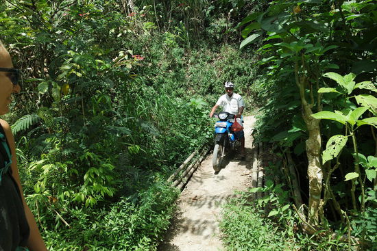 Der Weg zum Munduk-Wasserfall