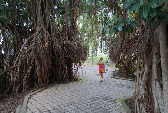 im Park bei den Petronas Towers