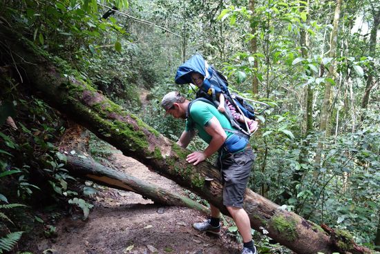 beim Dschungel-Trekking