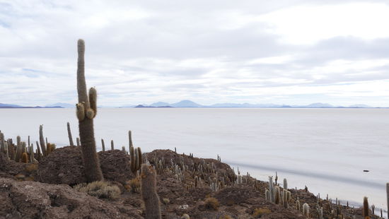 Isla Incahuasi