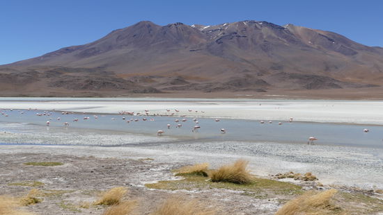 Laguna Hedionda