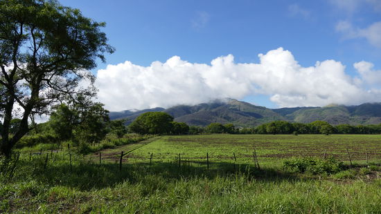 Kurz hinter El Carril