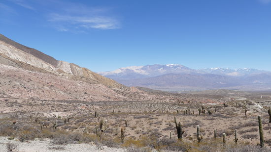 Parque Nacional Los Cardónes