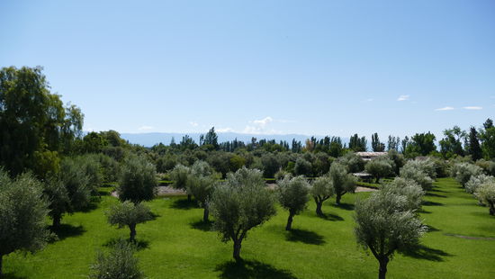 Auf dem Gelände der Bodega Trapiche