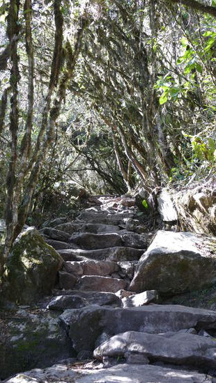 Auf dem Weg zum Machu Picchu Mountain.