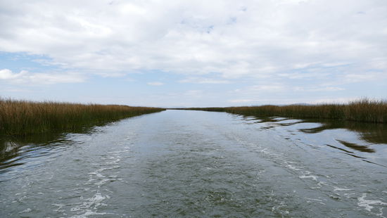 Das letzte Bild aus Peru...am selben Abend konnte ich schon den Titicacasee von boliviansicher Seite aus bestaunen